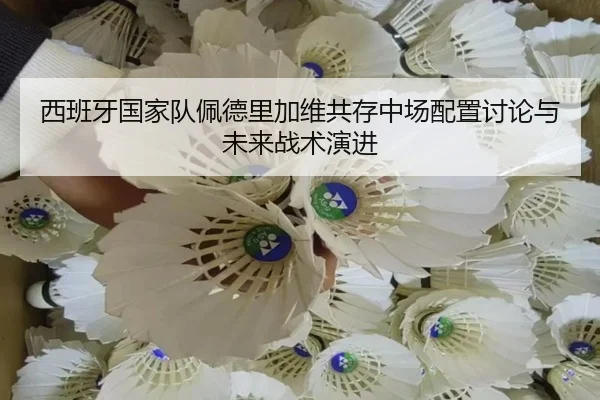 西班牙国家队佩德里加维共存中场配置讨论与未来战术演进
